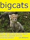 Big Cats - Learn Cool Facts about Lions Tigers Leopards