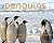 Penguins - Learn Cool Facts about Penguins and See Amazing