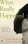 What Really Happened Stories by Banaful