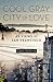 Cool Gray City of Love: 49 ...