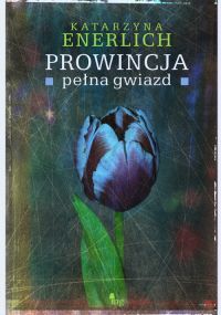 Prowincja pełna gwiazd (Prowincja pełna..., #2)
