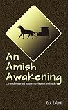 An Amish Awakening...a tenderhearted sojourn to Heaven and back