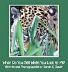 What Do You See When You Look At Me? by Sarah E. Sauer