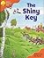 The Shiny Key (Oxford Reading Tree, Stage 6, More Stories A, Magic Key)