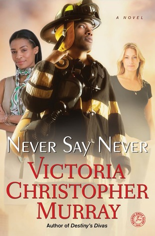 Never Say Never (Paperback)