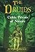 The Druids: Celtic Priests ...