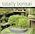 Totally Bonsai: A Guide to ...