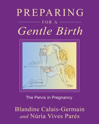 Preparing for a Gentle Birth: The Pelvis in Pregnancy (Paperback)