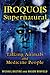 Iroquois Supernatural by Michael Bastine
