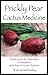 Prickly Pear Cactus Medicine by Ran Knishinsky
