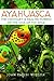 Ayahuasca: The Visionary an...