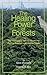 The Healing Power of Forest...