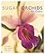 Sugar Orchids for Cakes by Alan Dunn