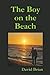 The Boy on the Beach