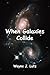 When Galaxies Collide