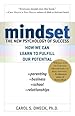 Image for Mindset