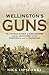 Wellington's Guns by Nick Lipscombe