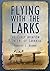 Flying with the Larks: The ...