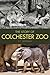 The Story of Colchester Zoo