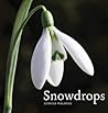 Snowdrops by Gunter Waldorf