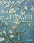 Flower: Paintings by 40 Gre...