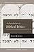 An Introduction to Biblical Ethics (B&H Studies in Christian Ethics)