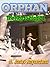 Orphan (The Key to Magic, #1)