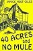 40 Acres and No Mule
