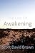 Awakening by Scott David Brown