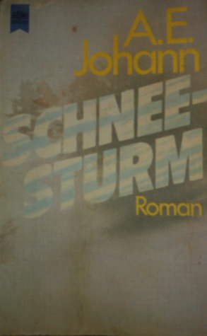 Schneesturm (Paperback)