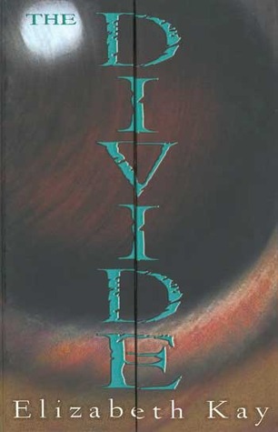 The Divide (The Divide, #1)