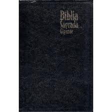 a biblia sagrada (Unknown Binding)