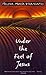 Under the Feet of Jesus by Helena María Viramontes