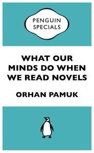 What Our Minds Do When We Read Novels