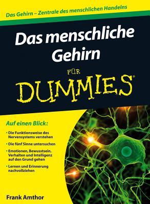 Das Menschliche Gehirn für Dummies