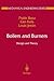 Boilers and Burners: Design and Theory (Mechanical Engineering Series)