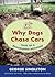 Why Dogs Chase Cars by George Singleton Why Dogs Chase Cars by George Singleton