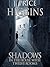 Shadows in the House with Twelve Rooms