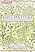 Rhys Matters: New Critical Perspectives (New Caribbean Studies)