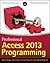 Professional Access 2013 Programming