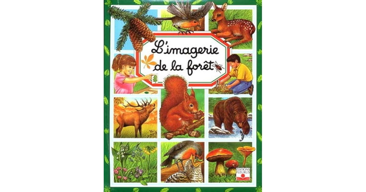 L Imagerie De La Foret By Emilie Beaumont