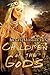 Children of the Gods (The L...
