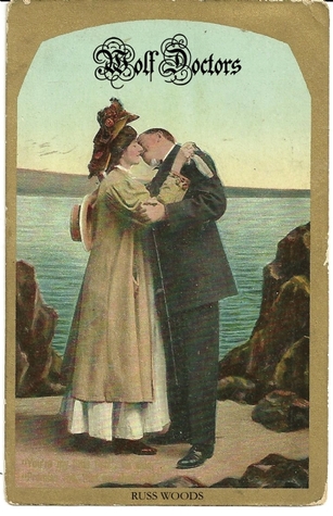 Wolf Doctors (Paperback)