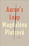 Aaron's Leap