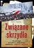 Związane skrzydła. Dlaczego polskie samoloty spadają. Raport pilota