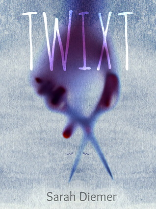 Twixt (Paperback)