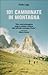 101 camminate in montagna