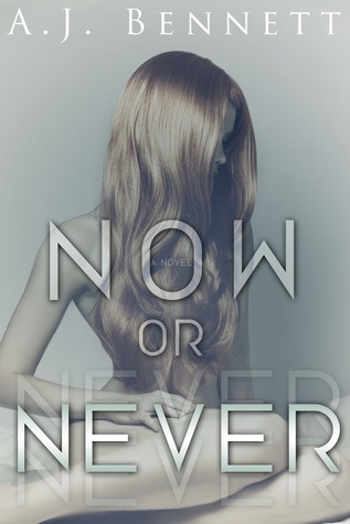 Now or Never (Alexander Twins, #1)