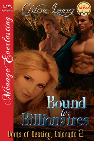 Bound to Billionaires (Doms of Destiny, Colorado, #2)