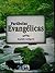 Parábolas Evangélicas: à luz do espiritismo